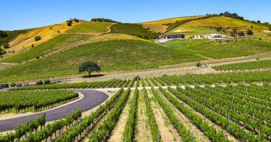 Panduan Luar Paso Robles. Laluan, Taman & Aktiviti Pengembaraan
